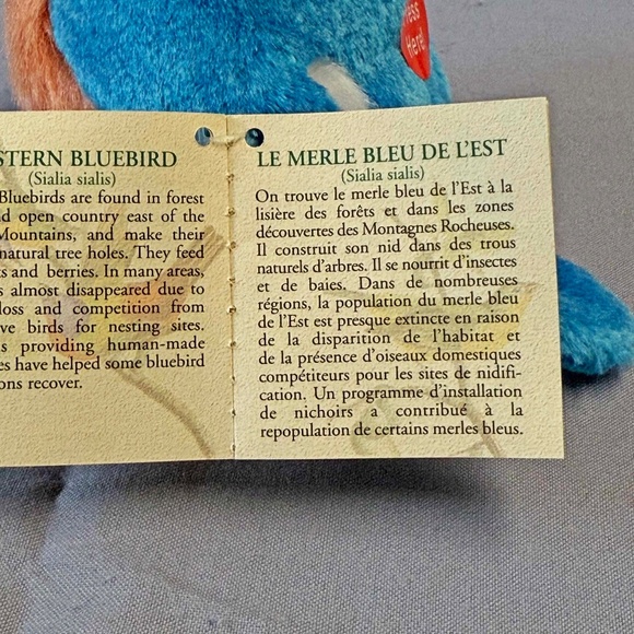 SINGING BIRD, PLAYS REAL BIRD CALLS, EASTERN BLUEBIRD, 6 L x 4 ½ W x 4 ¾ H INCH - Picture 9 of 16